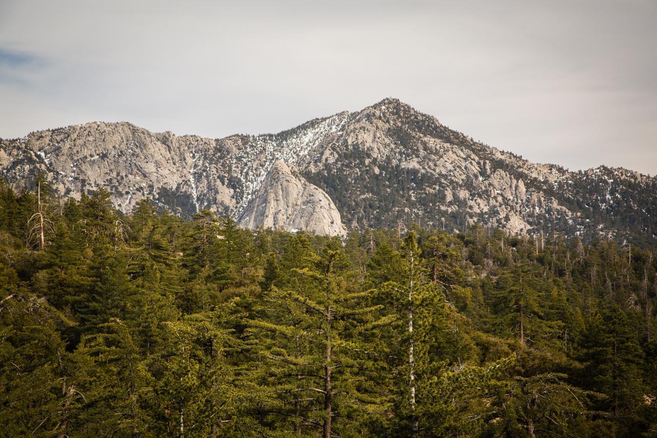 Idyllwild Camping Resort Cabin المظهر الخارجي الصورة