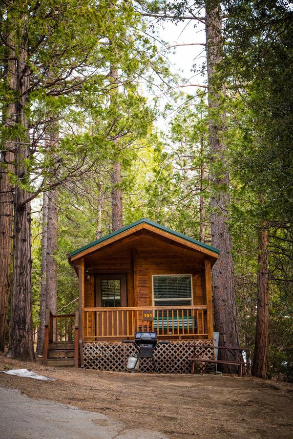 Idyllwild Camping Resort Cabin المظهر الخارجي الصورة